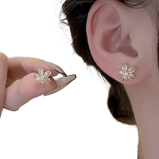 BeMore Nature Series : Wild Flowers