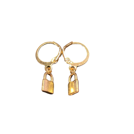 BeMore Budget Series : Lock Earrings  style 3