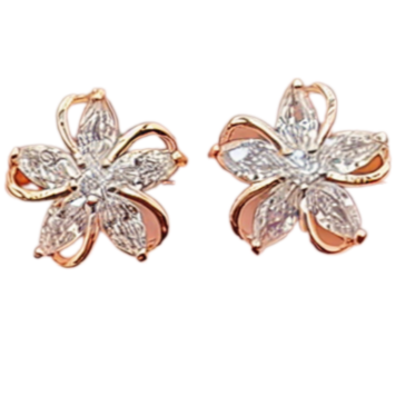 BeMore Nature Series : Wild Flowers