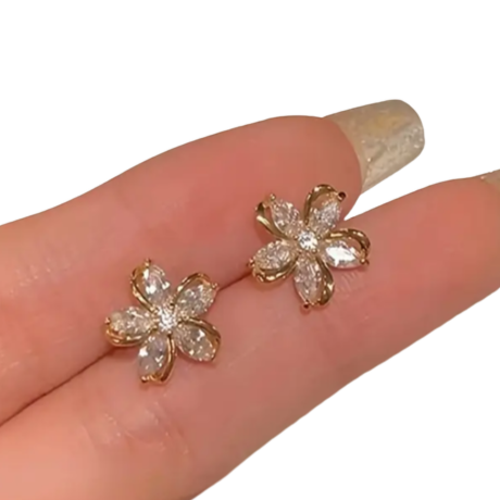 BeMore Nature Series : Wild Flowers